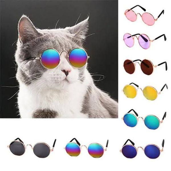 Cat Sunglass