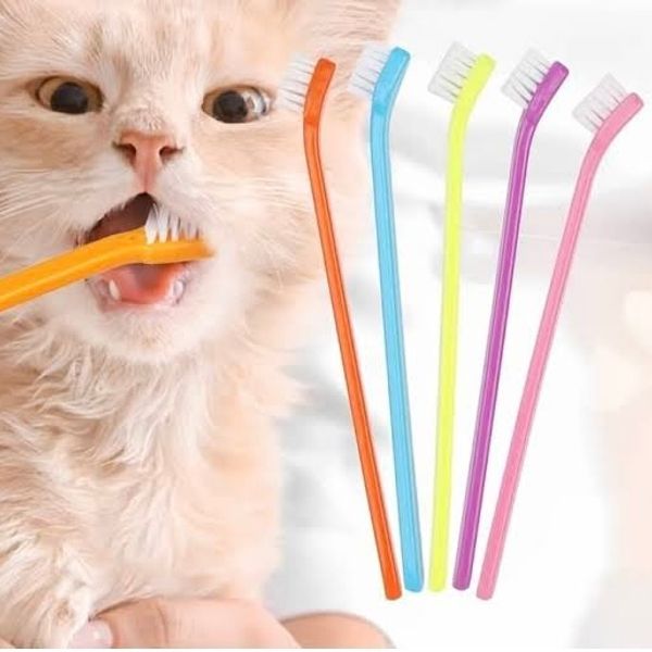 Cat Teeth Brush