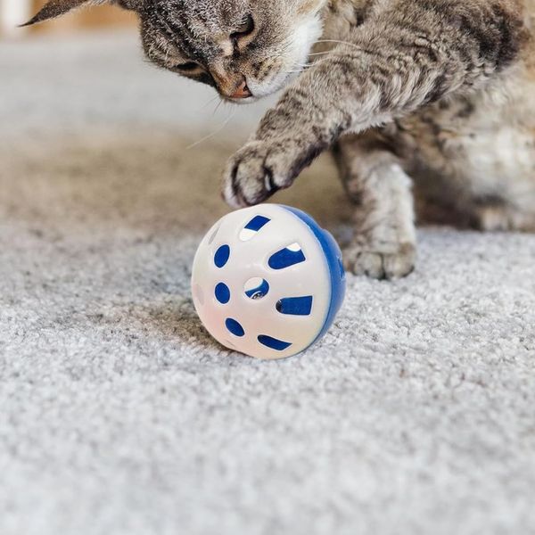 Plastic Ball Toy Dual Colour