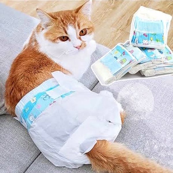 Pet Diaper Polymer Urine Absorbing M-Size