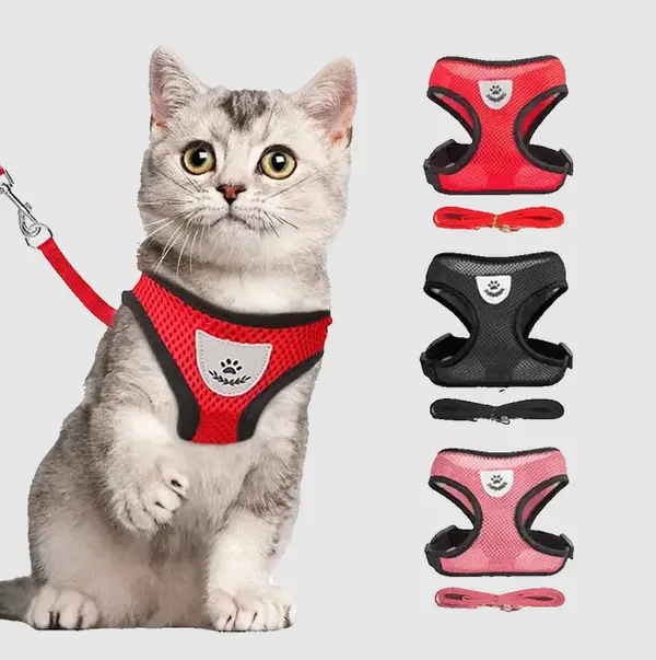 Full Body Soft Mesh Vest Harness With Leash Belt