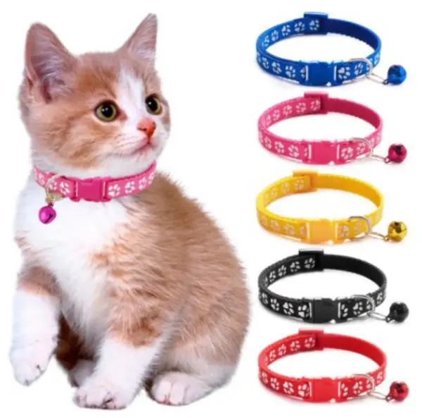 Neck Coller Belt